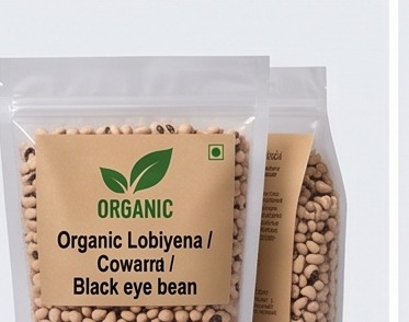 Organic Lobiyana / Cowpea / Black Eye Bean